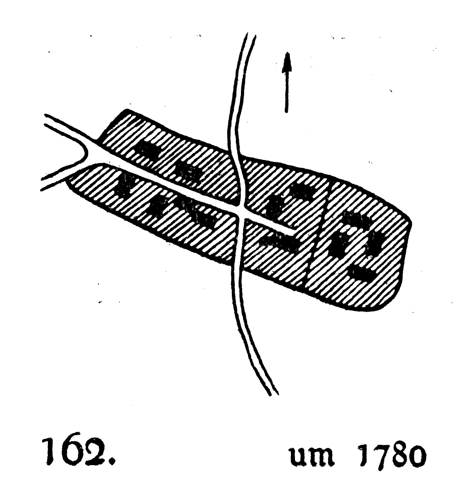 PlanAlt